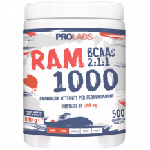 RAM 1000 500CPR