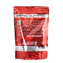 100% WHEY PROTEIN PROFESSIONAL 500gr