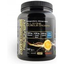 ANABOLIC RECOVERY 500G