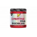 CREATINE DNA 309G