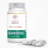 LIGANDROL (LGD-4033) 90 capsule / 10mg