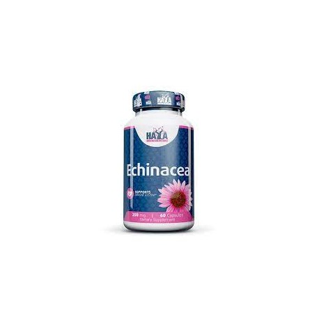 Echinacea 250mg. / 60 Vcaps.