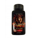 Alpha Male with DIM - 90 capsule - REVANGE